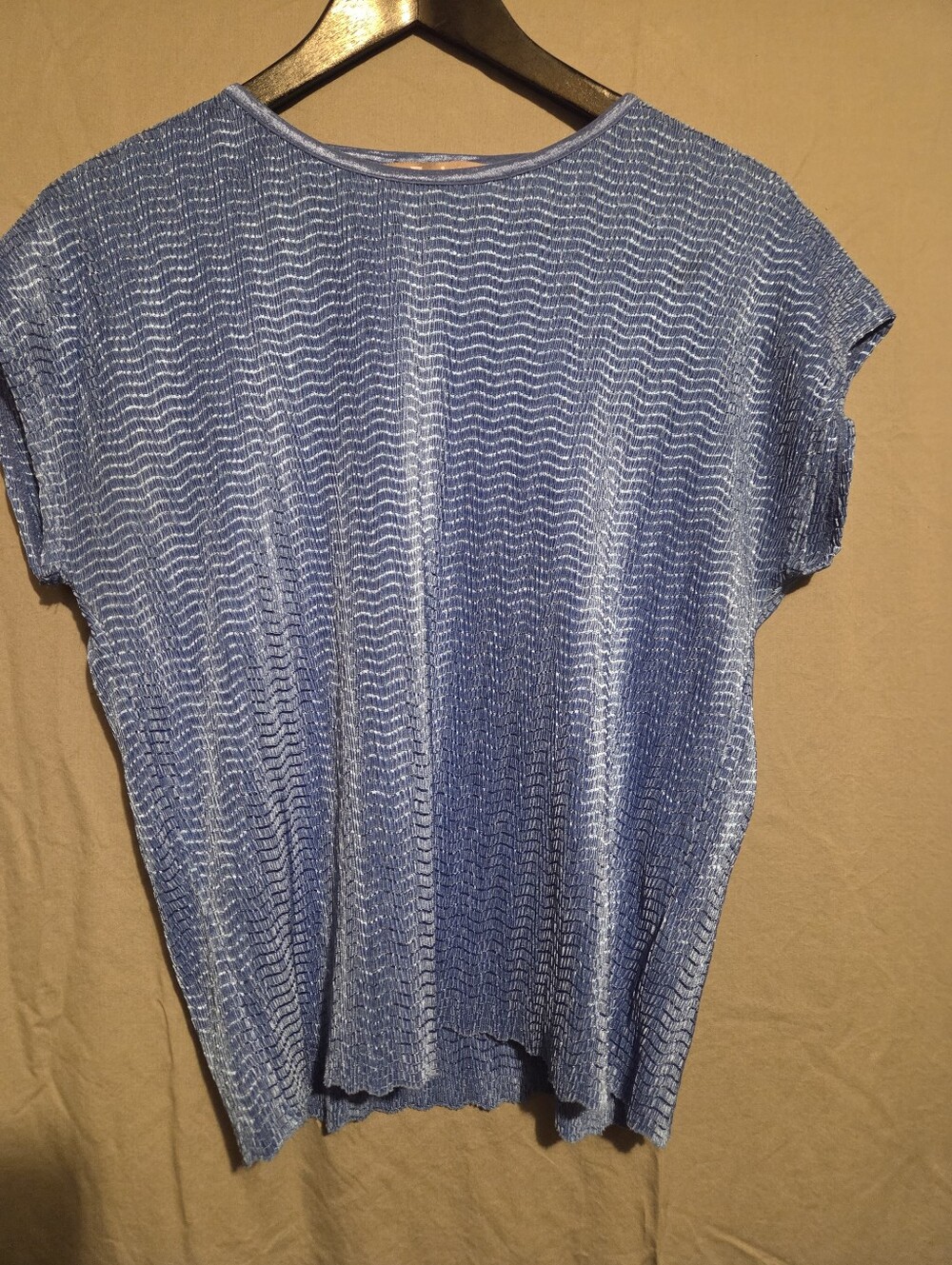 TanJay Women's Blue Short Sleeve Textured Top